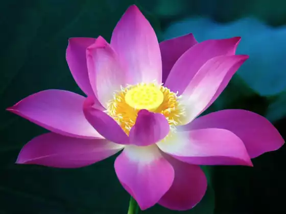 instructor_upload/images/optimized/1678565823I6k2X7OGOUuZMUFzpGKJ9z9LNqoUW20v.webp