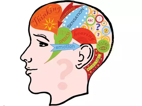Emotional Intelligence 
