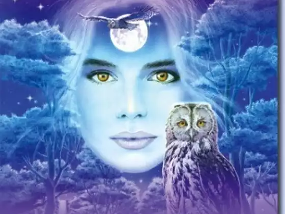 Meet you Spirit Guides