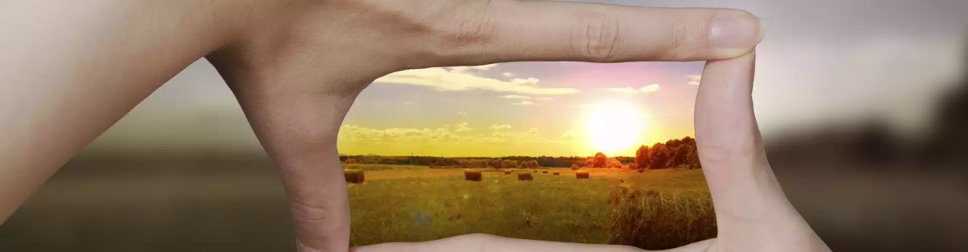  "Manifesting Your Vision" Introduction, (c) 2015 Jules Kennedy - Online Class by Jules Kennedy