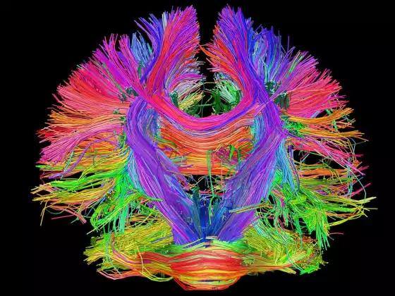Fostering Your Intuition + Flow: Using the Healing Science of Nature and the Psychology of Interior Design