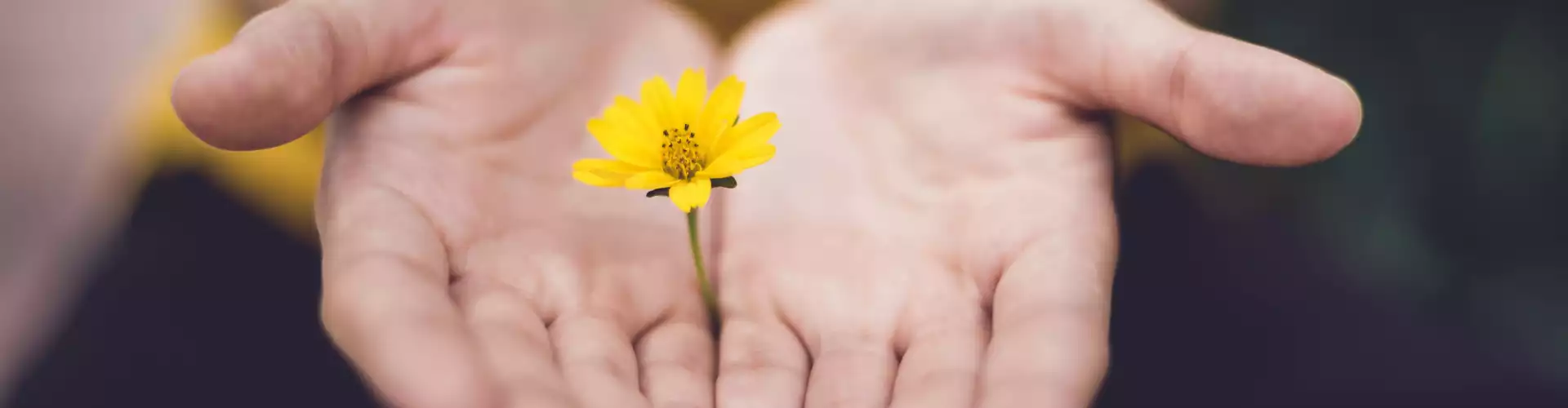 Reiki Tingkat 1 - Online Class by Jamie Butler