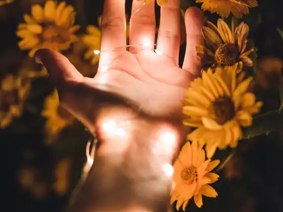 Sanación remota de Reiki durante 33 minutos