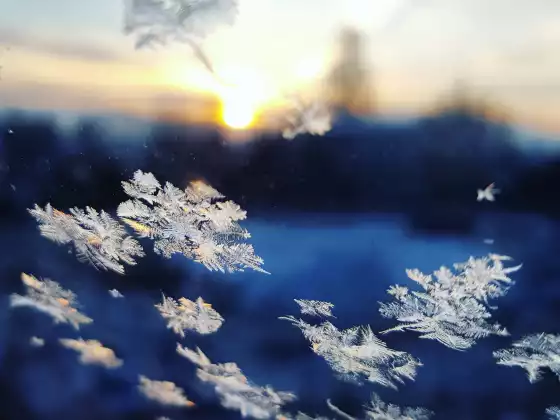 Winter Solstice Ceremony 2023 - What Will You Choose?