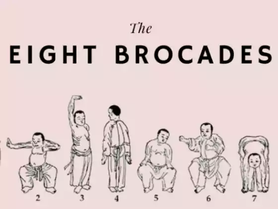 Qigong의 "The 8 Silk Brocade"는 무엇입니까