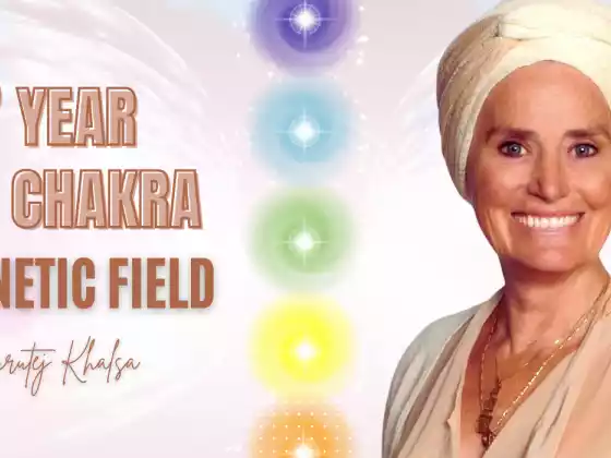 Campo Magnético del 7º Chakra del Año 7
