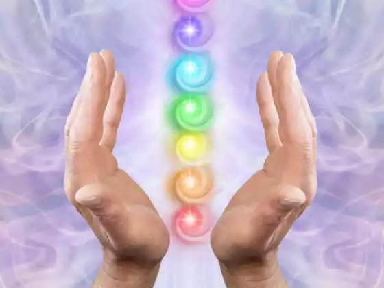 Class 7 Chakra 101 Crown, Earth and Soul Star