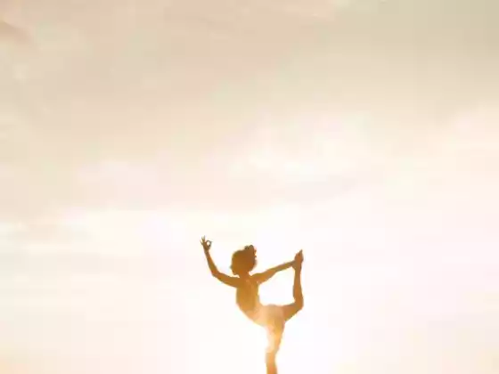 Illuminate your Life with Iyengar Yoga (Week 2- Forward Bends and Twists)