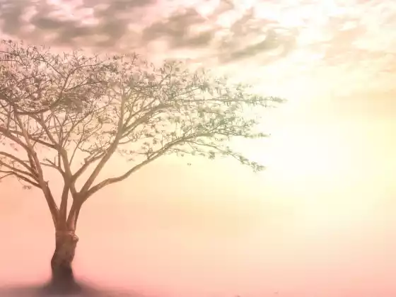 Pagpapagaling ng Past Life: Meditation at Energy Technique