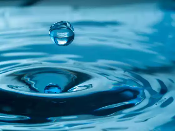 Activate Your Healing Vibration: As You Heal Yourself, You Heal the World