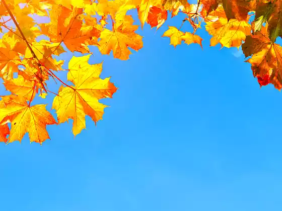 Yin Yoga for Gratitude