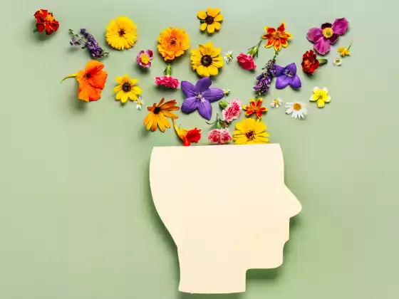 Healing the Mental Body - Restorative Healing Yoga (4 Week Series)
