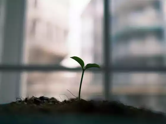 Hội thảo trực tuyến về thể chất trở thành phương pháp chữa bệnh bằng năng lượng như thế nào 1