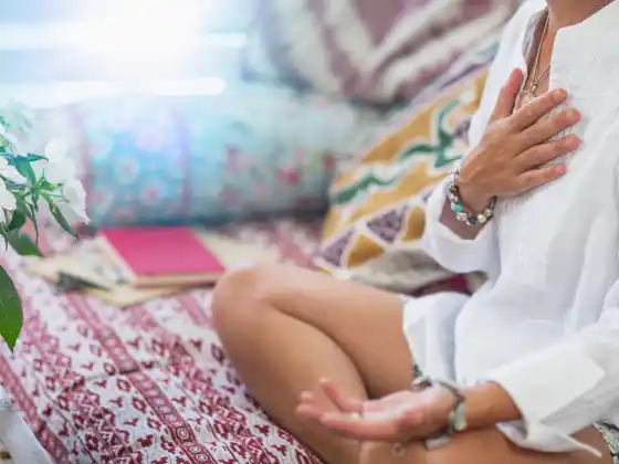 Seri Meditasi Perwujudan Jiwa dengan Panduan Ketahanan Leah Skurdal