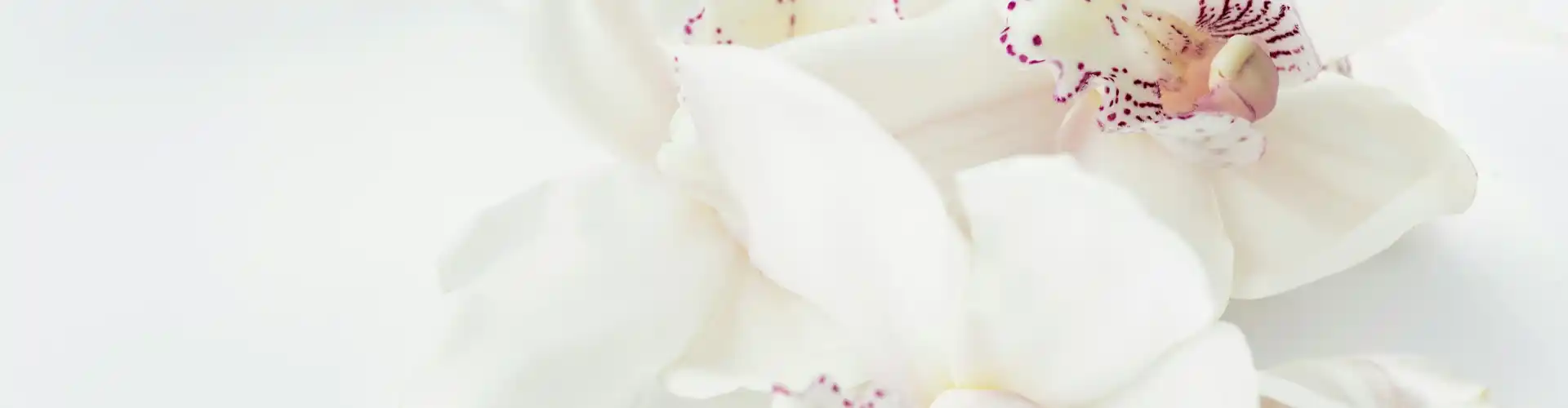 Chữa bệnh bằng Reiki từ xa trong 33 phút - Online Class by Jamie Butler