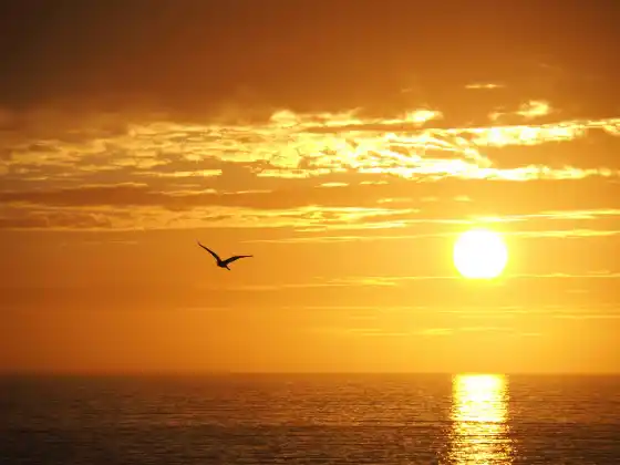 Guerriero pacifico – Trance-channeling Yeshua