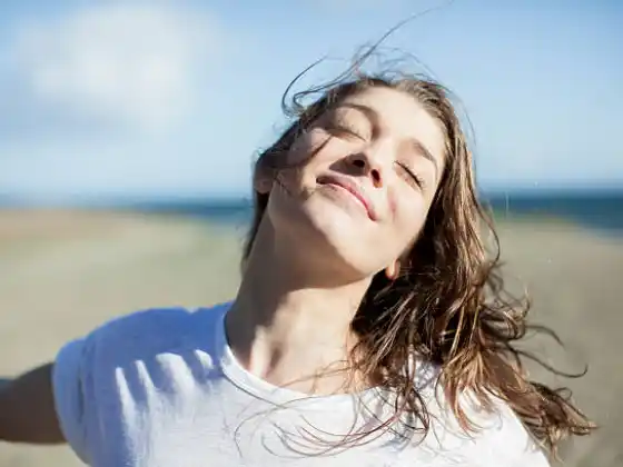 Serie Lograr la felicidad