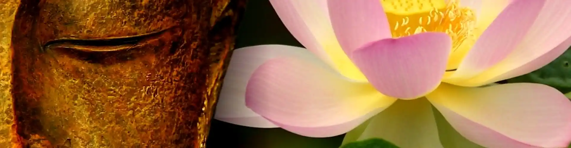 Reiki Nivel Dos - Online Class by Cassaundra Paolini