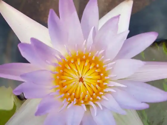 Ang Chakra Journey Class Eight ~ Your Throat Chakra