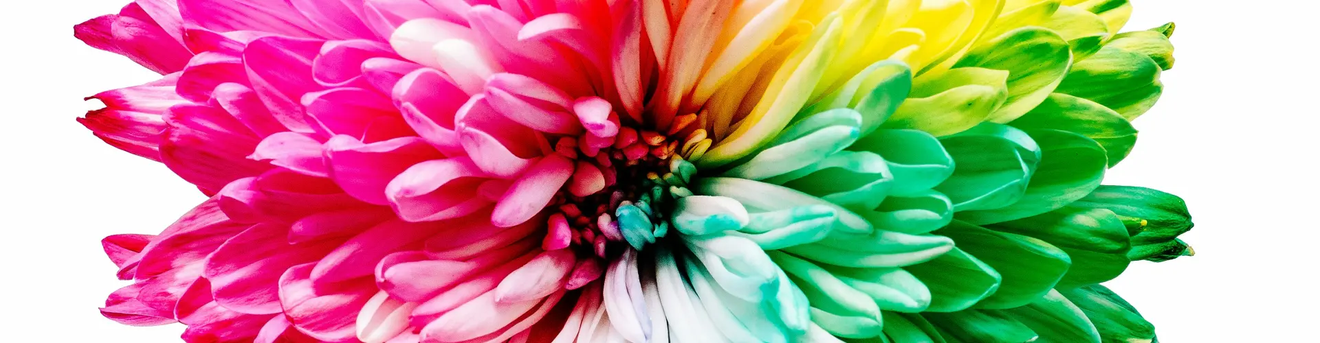 Penyembuhan Tenaga untuk Chakra kami - Online Class by Ismene Manakas