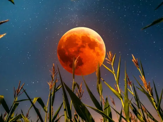 Full Moon Solar Eclipse Meditation 
